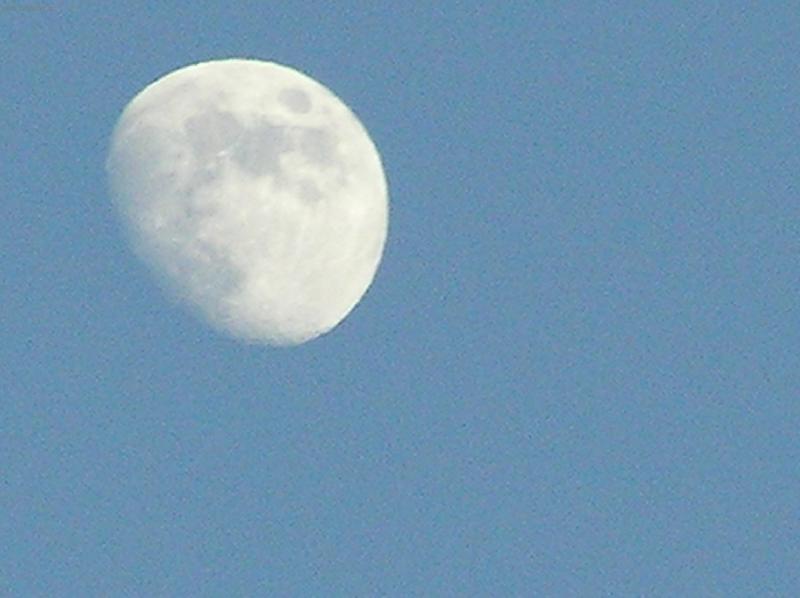 Foto: M�s�c I.-10.01.2006 16:46