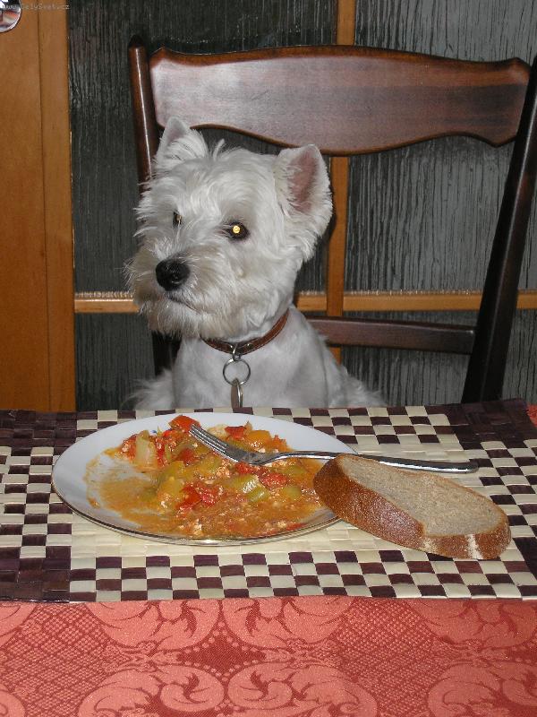 Foto: Nen� nad spr�vn� stolov�n�