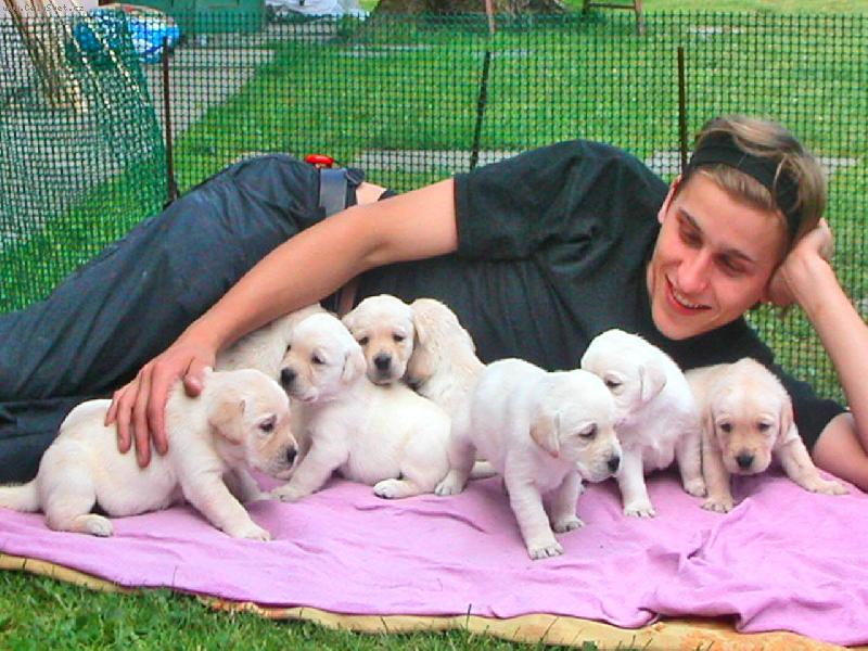 Foto: P�n��ek a jeho parta-..to je ale �t�st��ek...