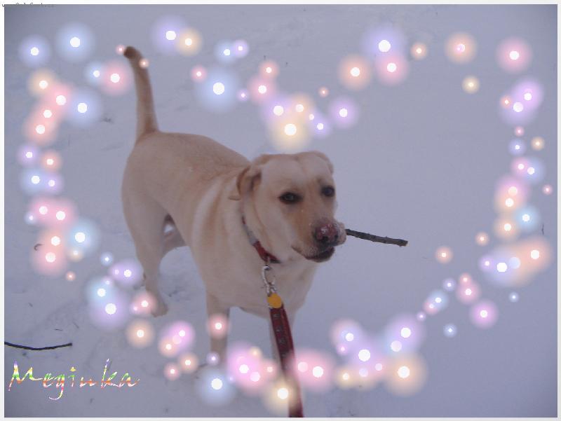 Foto: Meginka-Srd��ko moje na proch�zce:))