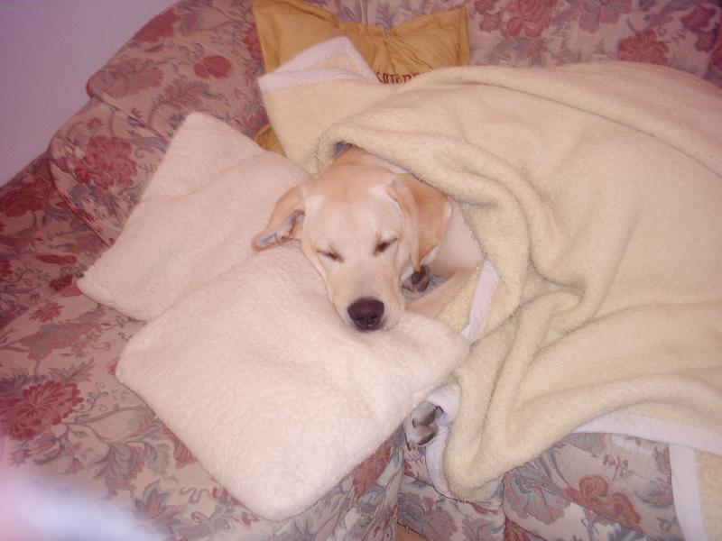 Foto: Jako �lov�k-a j� snad �lov�k nejsem?