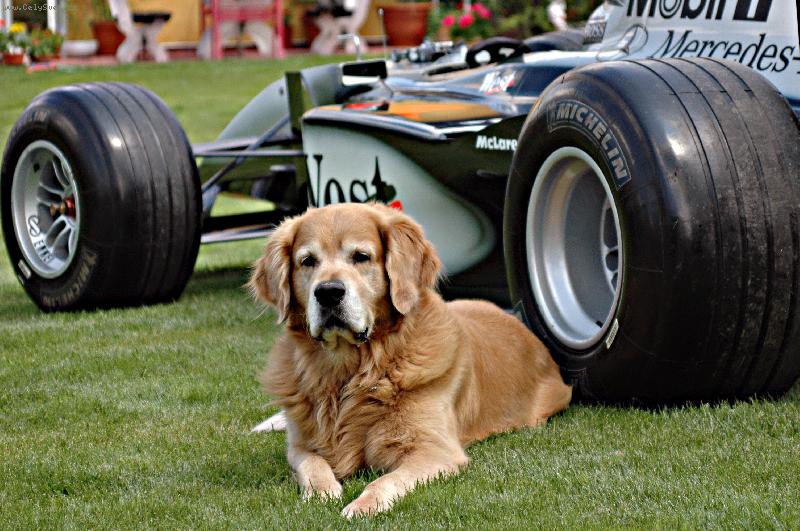 Foto: Baddy hl�d� showcar F1-P�i reklamn� akci jsem vyfotil na�eho hl�da�e.