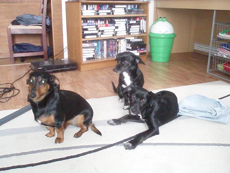 Foto: Holky...-n�e �t�st��ka