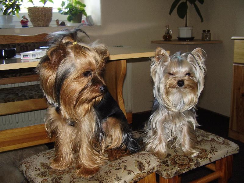 Foto: Lenny a Jolly-to je teda �sm�v...