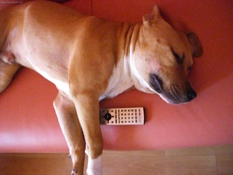 Foto: v t� telce fakt nic nen�-dam si 20 a pak jdu ven