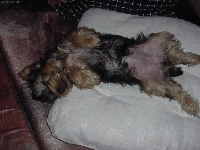 Foto: ���ch,to je pohoda-dvou m�s��n� LUCINKA