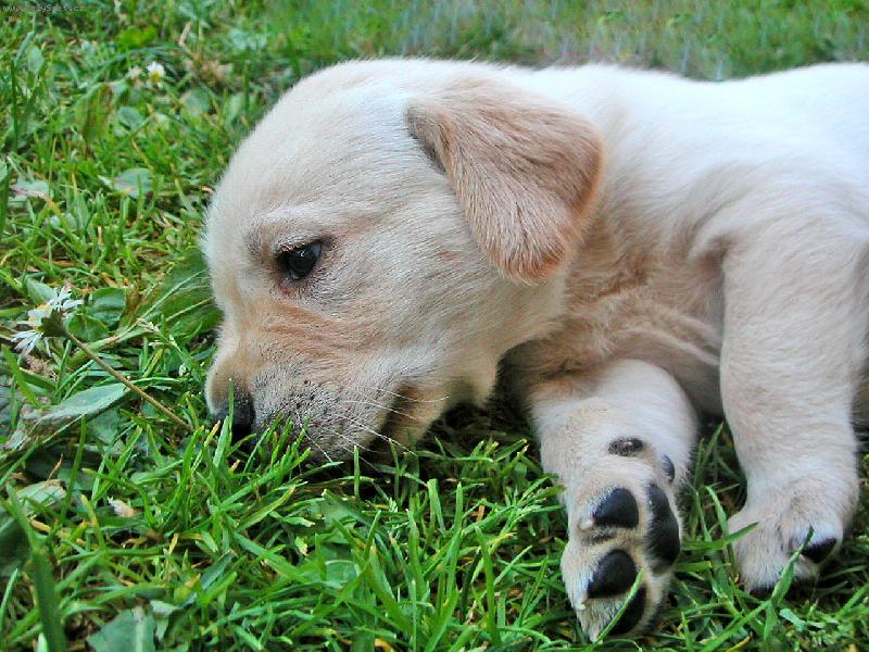 Foto: Romantick� �t���tko-..ty jsi kr�sn� kv�tinko...