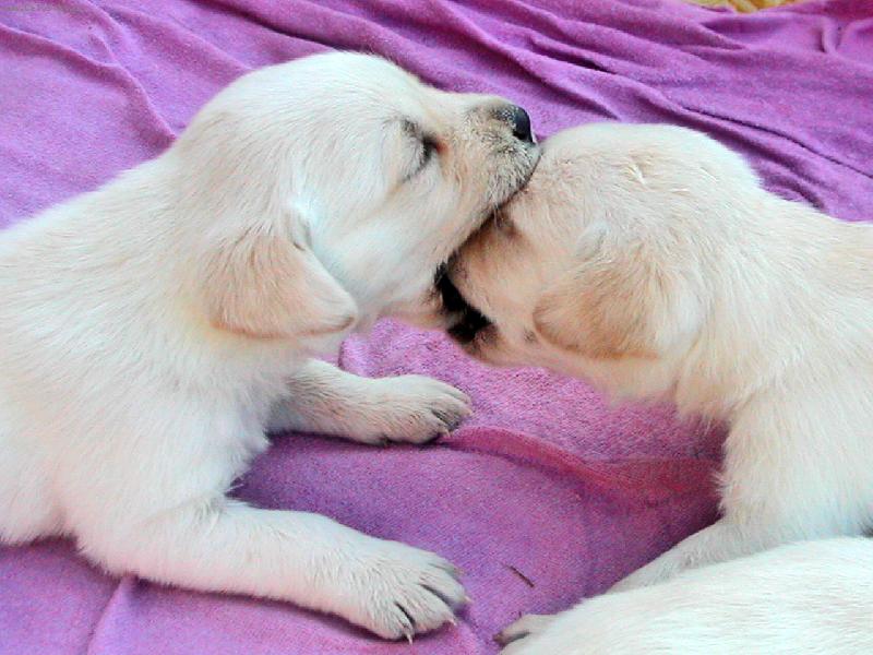 Foto: Neposedn� sest�i�ky-...j� jsem siln�j��, uvid�!