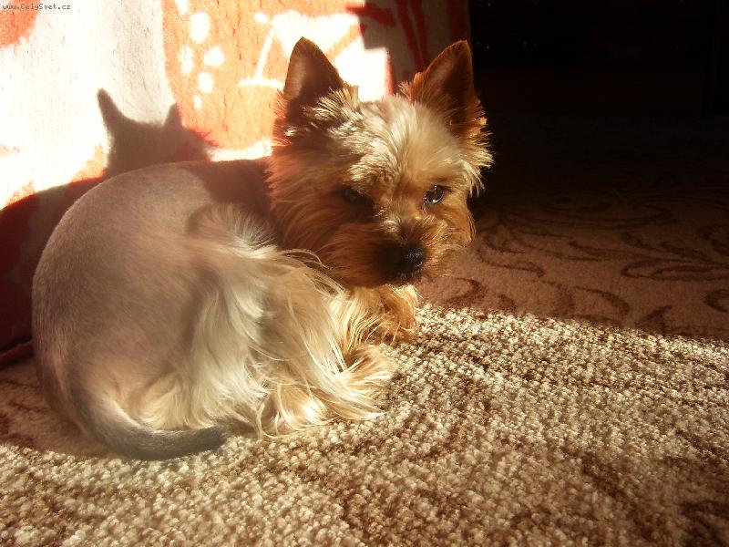 Foto: Odpo�inek na slun��ku