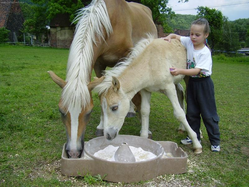 Foto: na�i mil��kov�-to je ale dobr�tka