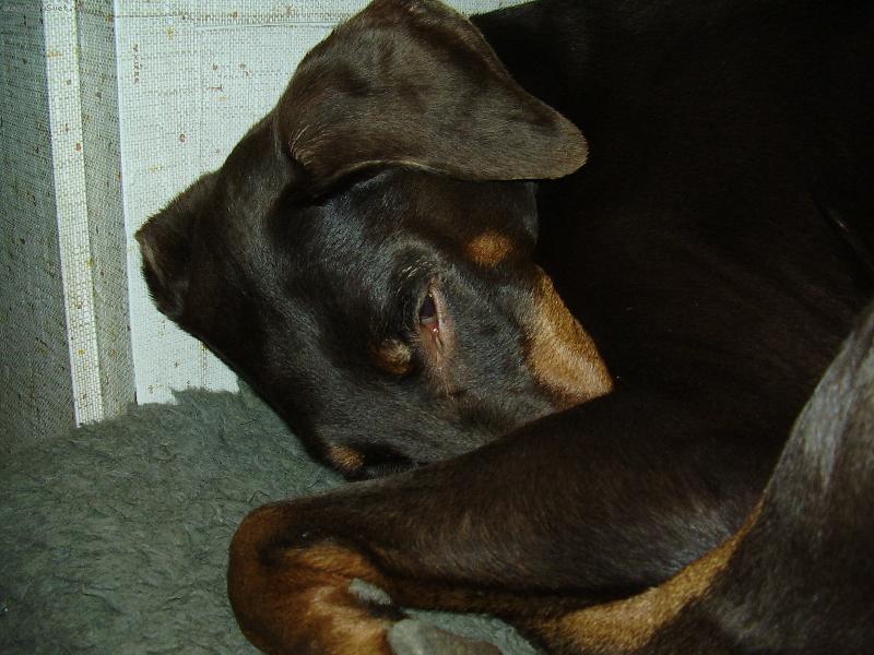 Foto: na�i mil��kov�-neru�it