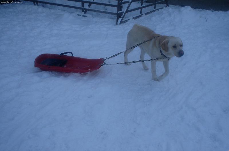 Foto: To jsem ale d���, co?