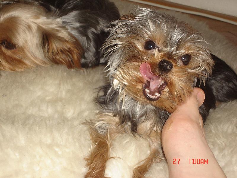 Foto: Nelly-Tak to jsem ja Nellynka