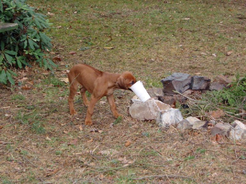 Foto: u ohni�t�-douf�m, �e tam zbyla aspo� kapka...�kyt...