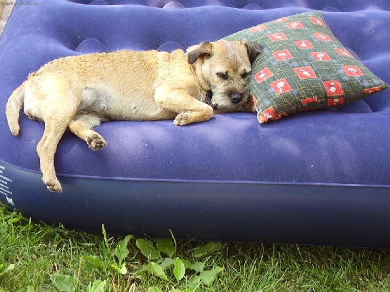 Foto: Ketty u balatonu.XD-Tak newim..!!XD