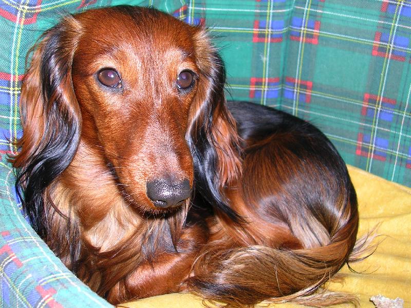 Foto: Balerinka-Mil��ek...