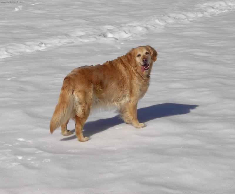 Foto: Tak jdete nebo ne?