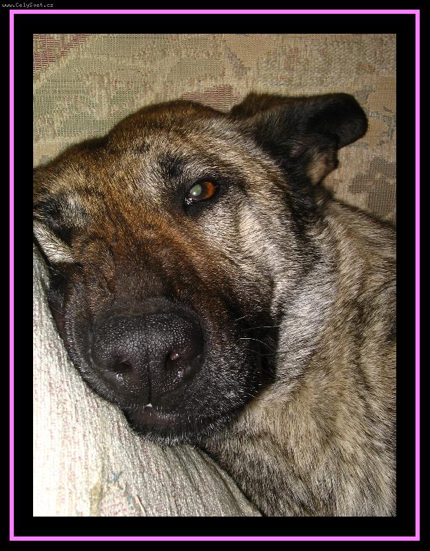 Foto: Chci u� m�t klid...