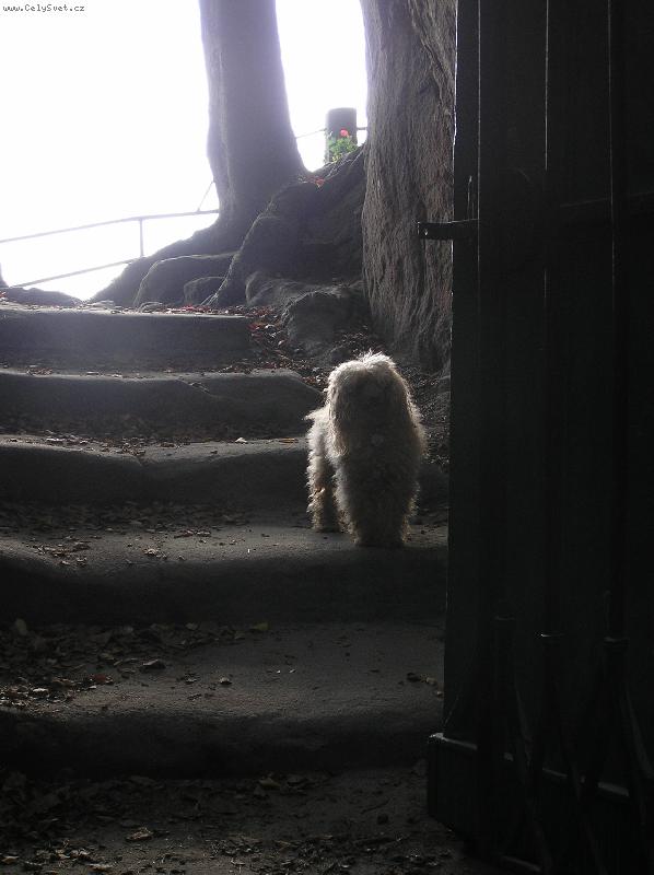 Foto: Akim 2006 posledn� v�let do p��rody-proch�zka do �esk�ho r�je