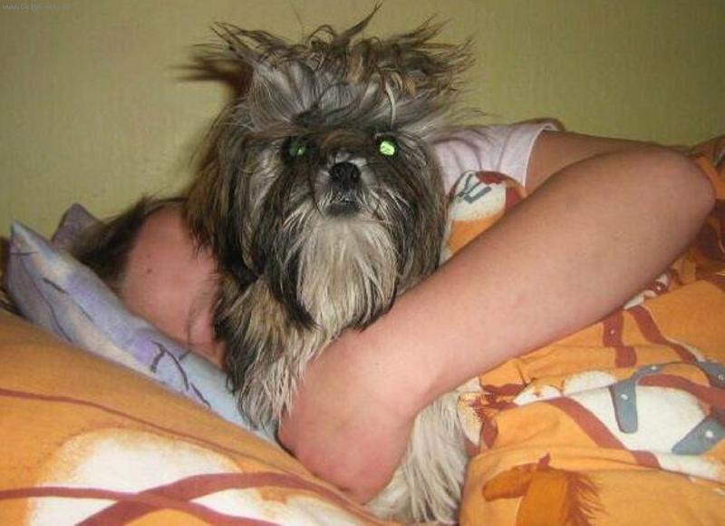 Foto: Ve stylu PUNK...-...dokonce i tohle na�� Sindy slu��...