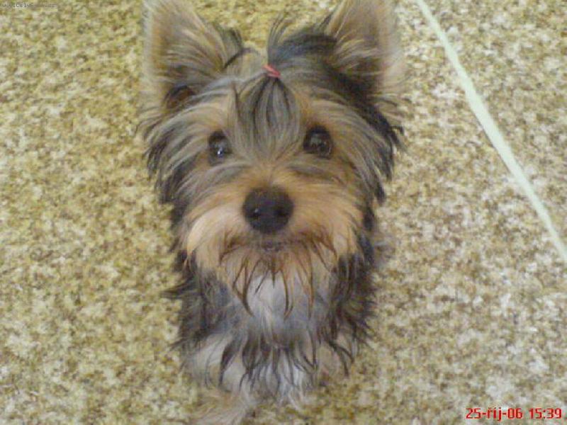 Foto: Mi��nek-Mi��nek