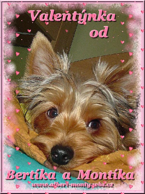 Foto: Mont�k-Kr�sn�ho Valent�na !