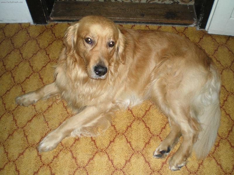 Foto: NOE-odpo�inek po ob�d�