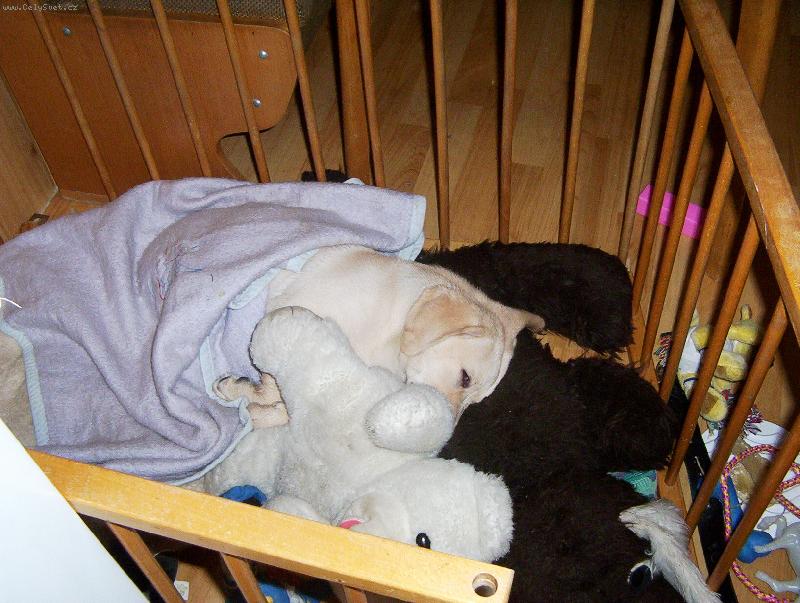 Foto: odpoledn� klid-to se mi to dob�e spink�.