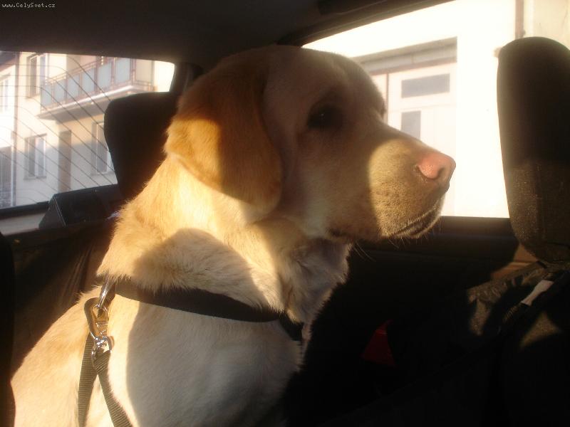 Foto: Tak kam teda jedeme? �ekne mi to n�kdo??