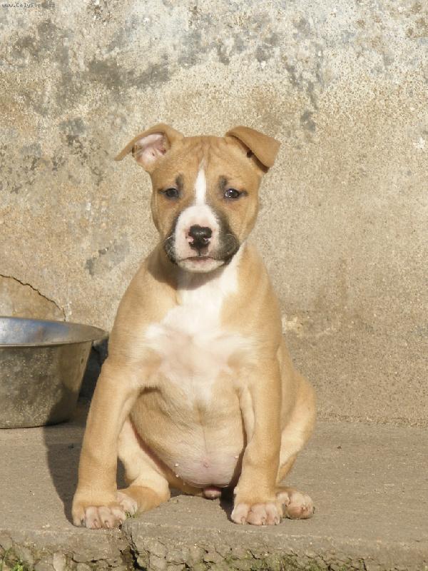 Foto: Slunn� den-to mam napapan� pup�k