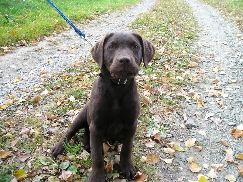 Foto: Dastynek-Nekoukej tak hloup�!!!