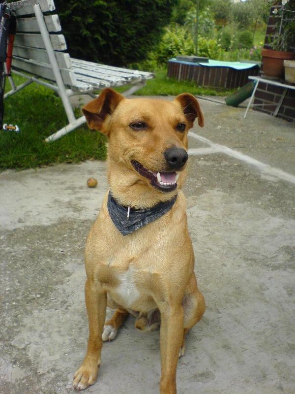 Foto: Endik-to jsem fesak co.... :)