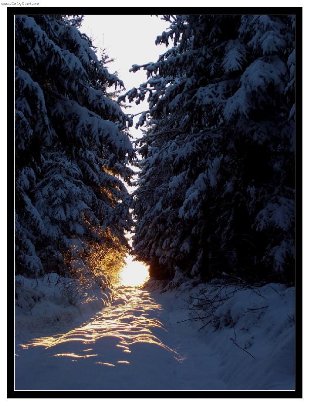 Foto: cesta do poh�dky zlatem zdoben�-leden 2007/Svitavsko/...sn�h ve spojen� se slun��kem..