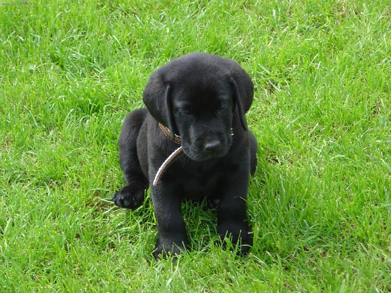 Foto: Benda-malej a roztomilej