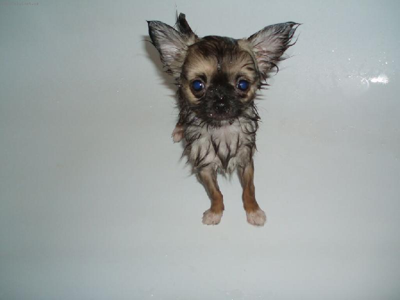 Foto: Nelly-Ctitel�, koukejte, a� m� pani�ka vyf�nuje :-)