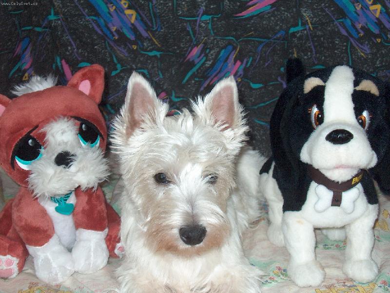 Foto: J� a m� kamar�di-J� a po stran�ch m� kamar�di Bobby a Opu�t�n� �t���tko