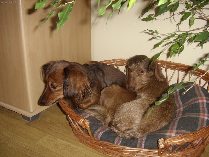 Foto: Na�e holky-Ty M�o koukej na tu dobrou �unku!