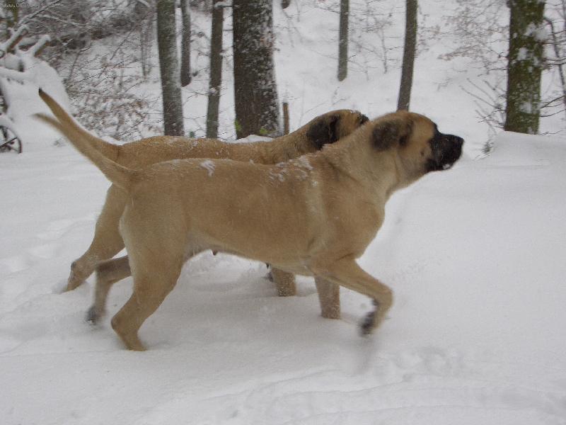 Foto: Tato cesta je spr�vn�-posledn� sn�h roku 2007,rozlou�en� se zimou