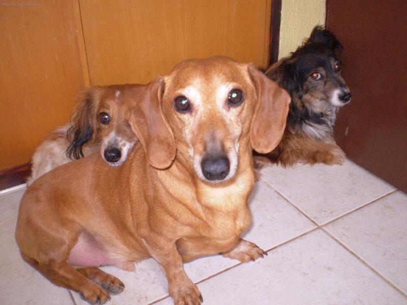 Foto: rodinka-p��prava na odpoledn� siestu