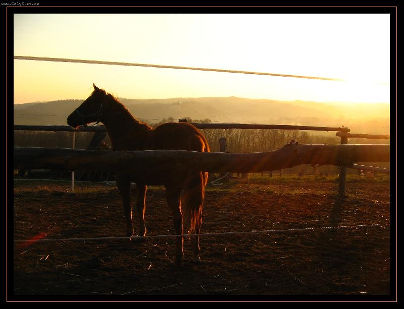 Foto: Den kon��......