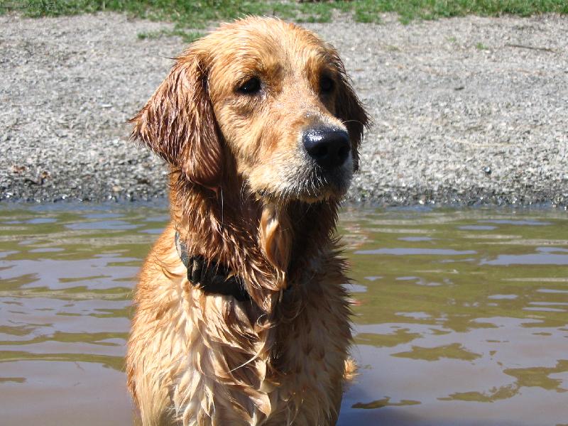 Foto: Letn� radov�nky-Voda a kytky to je moje