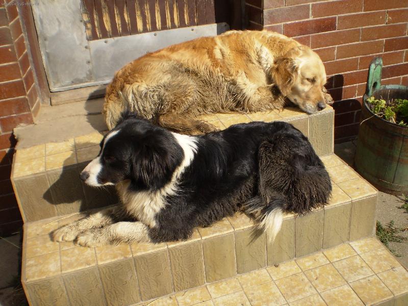 Foto: Odpo�inek-N�vrat z dopoledn� vych�zky s ko�mi