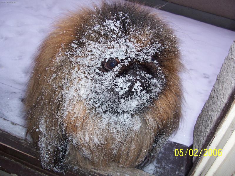Foto: Bard�k v zim�-Libuji si v dokonal�m mejkapu....