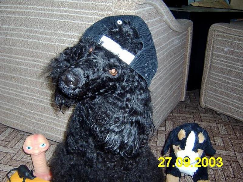 Foto: To je n� fe��k...