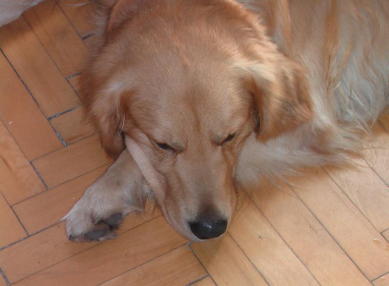 Foto: n� Mat�sek-To se mi to p�kn� spink�