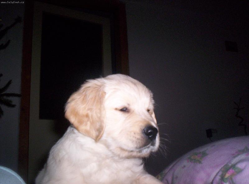 Foto: Speedy-po��d bych jenom spinkal