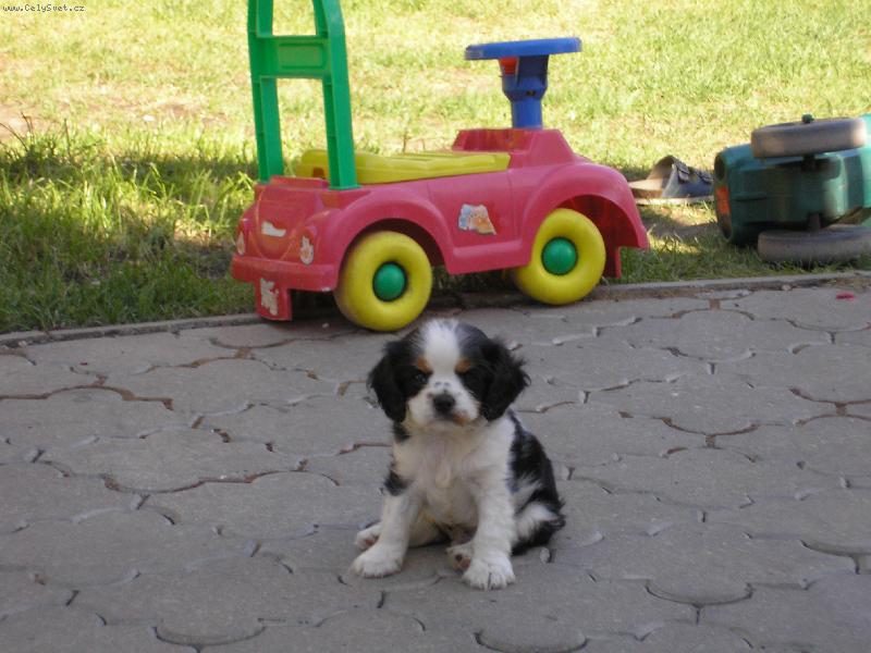 Foto: To je nuda!-hezk� co ?