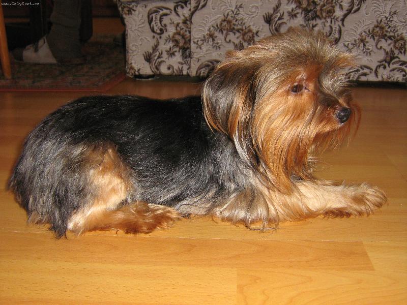 Foto: SINDY-J� SE R�DA FOT�M