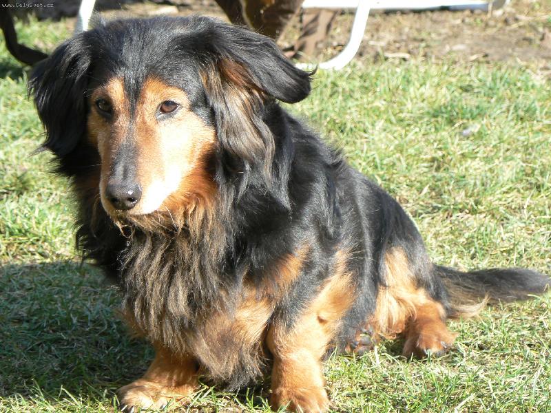 Foto: OSK�REK-U� M�M 10 ROK�.......�E JSEM ALE KR�SN�����