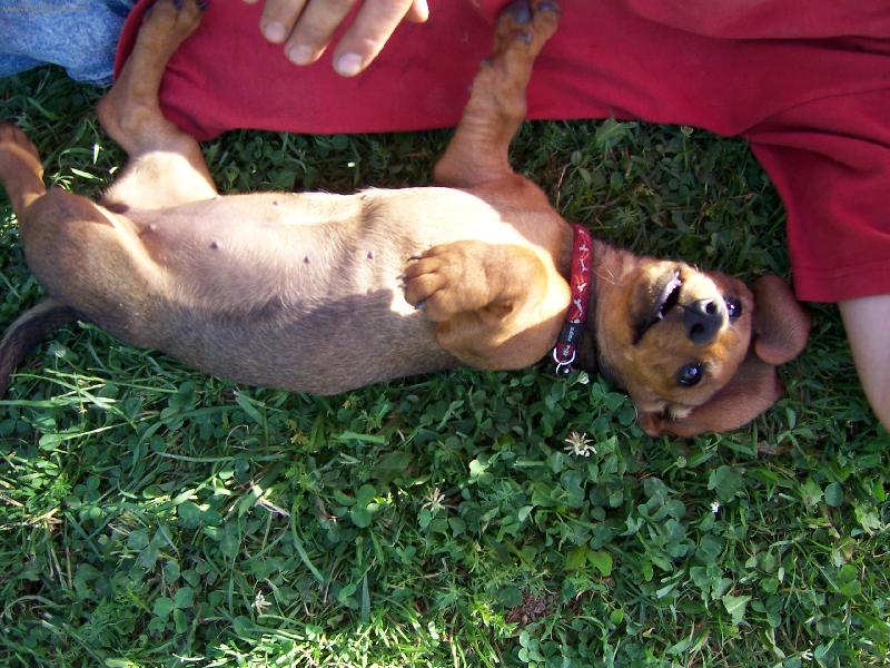 Foto: Vikina-je to par�da lehnout si na z�da a ........